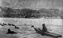 Eskimos, Inuits