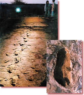 Footprint of laetoli