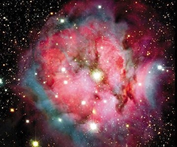 Cacoon of stars