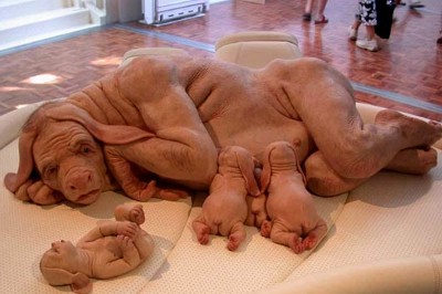 Man-Pigmut