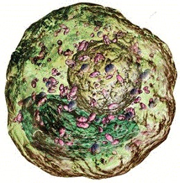 Planeta pardavimui