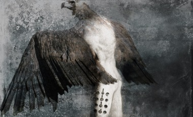 Wings