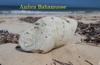 Ambra Baham pakrantje