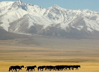 Tian Shan montaign