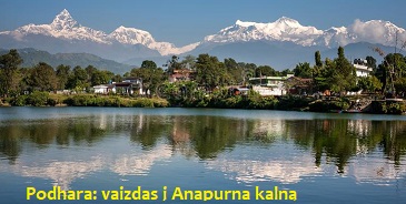 Podhara