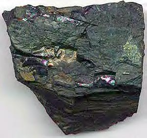 Coal