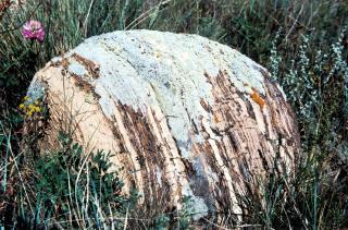 Boulder of Rytyj at Baikal