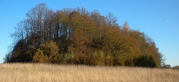 Miknin piliakalnis