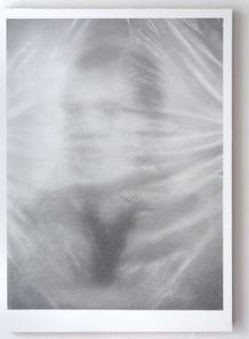 Gerhard's Muler Behind Plastic, 2011