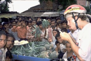 Katmandu pineapples