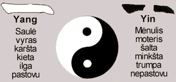 Taiji du, Yang-Yin duality