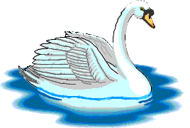 gulbe