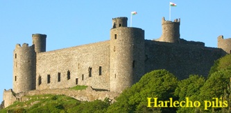 Harlecho pilis