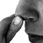 Aristotle Illusion