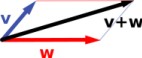 Linear Vectors