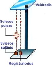 viesos laikrodis