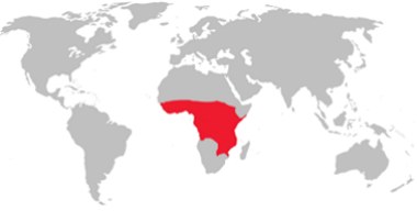 Tsetse distribution