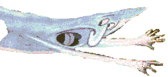 Flying Ghost