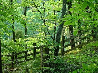 Tvora