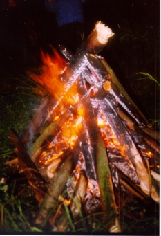 Bonfire